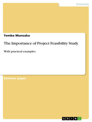 cover image of The Importance of Project Feasibility Study